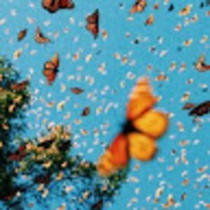 Meet your Posher, Gee_